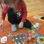 50265_2026-01-29_14:14:48.jpg